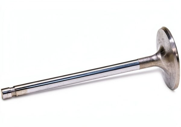 Manley 8 Port Stainless Steel Exhaust Valve-1