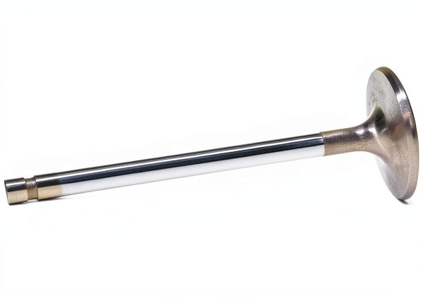 Manley Stainless Steel Fishing Equipment-4