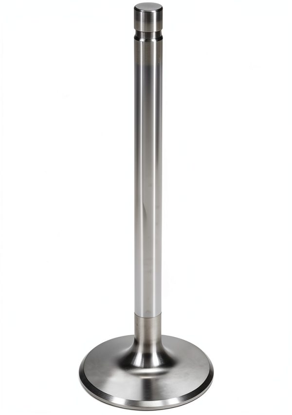 Manley 8 Port Stainless Steel Exhaust Valve-2
