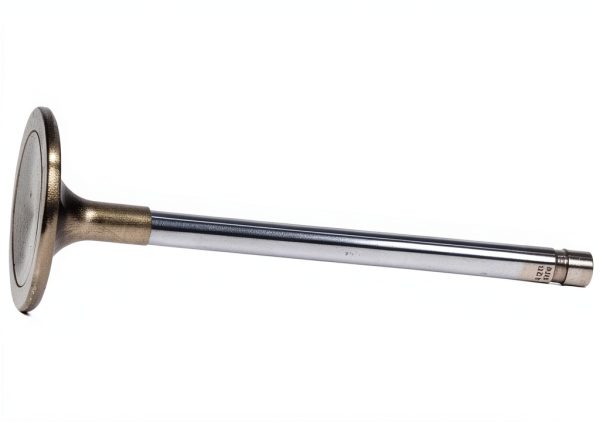 Manley Stainless Steel Fishing Equipment-1