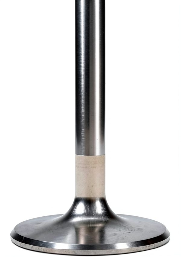 Manley 8 Port Stainless Steel Exhaust Valve-3