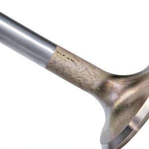 Manley Stainless Steel Exhaust Valve-0