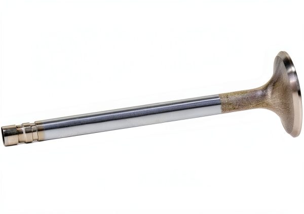 Manley Stainless Steel Exhaust Valve-1